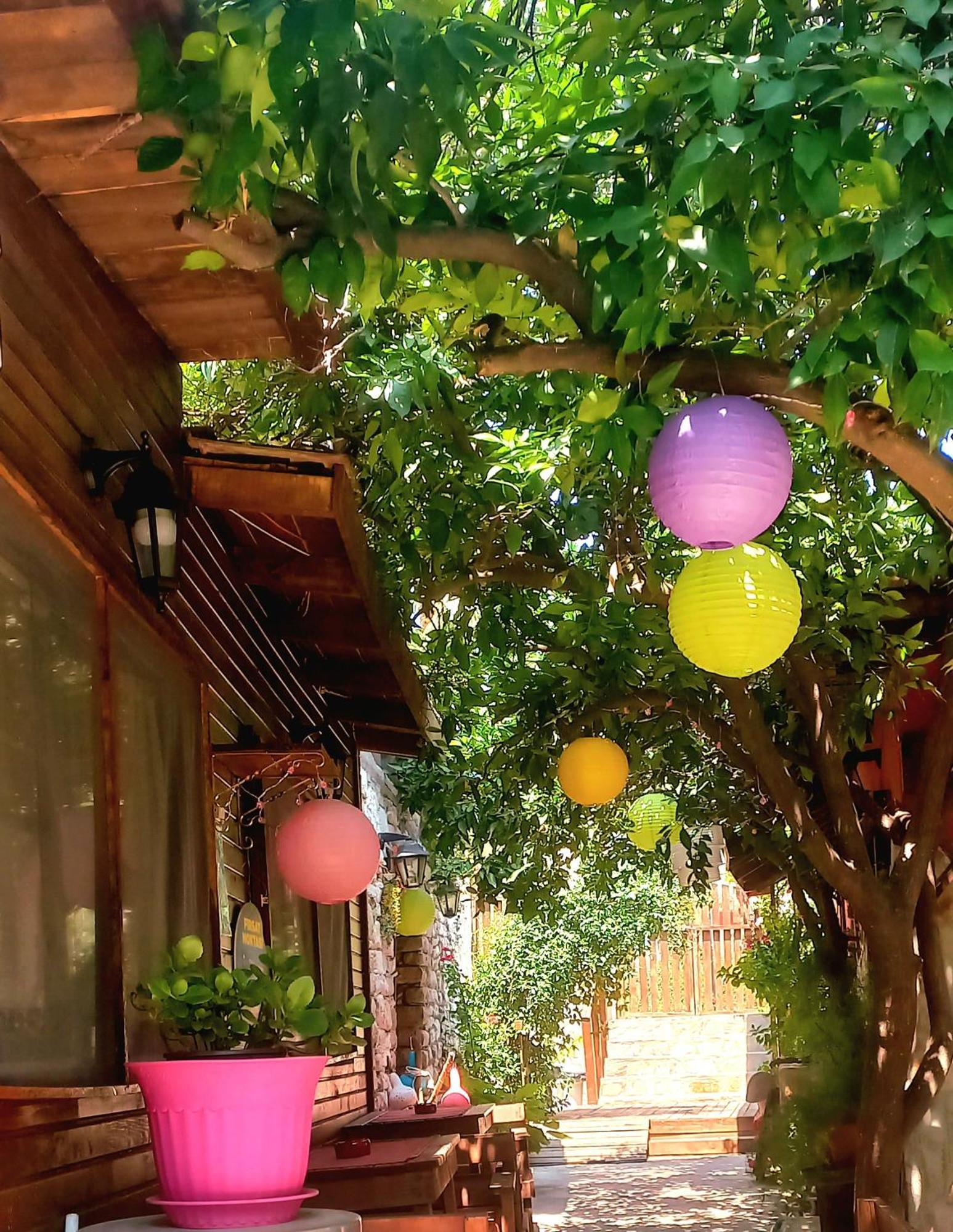 Demeter Rose Stonehouse Pansion Lejlighed Antalya Eksteriør billede