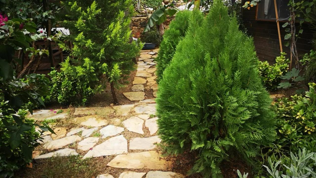 Demeter Rose Stonehouse Pansion Lejlighed Antalya Eksteriør billede