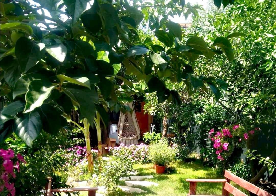 Demeter Rose Stonehouse Pansion Lejlighed Antalya Eksteriør billede